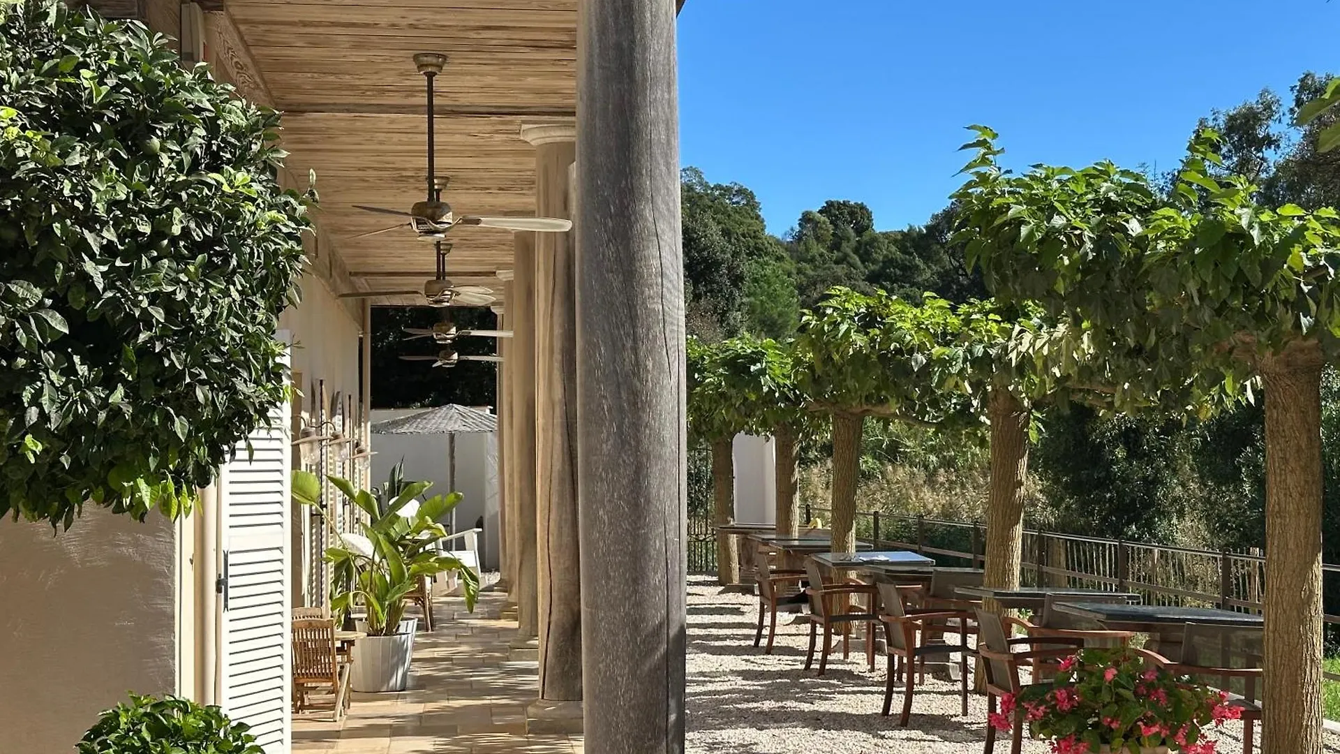 Le Clos Des Sept Palmiers Cavalaire-sur-Mer