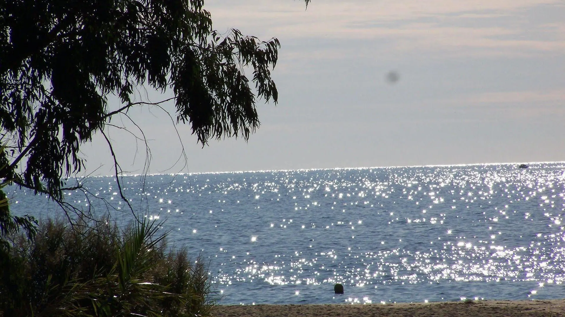 Le Clos Des Sept Palmiers Cavalaire-sur-Mer