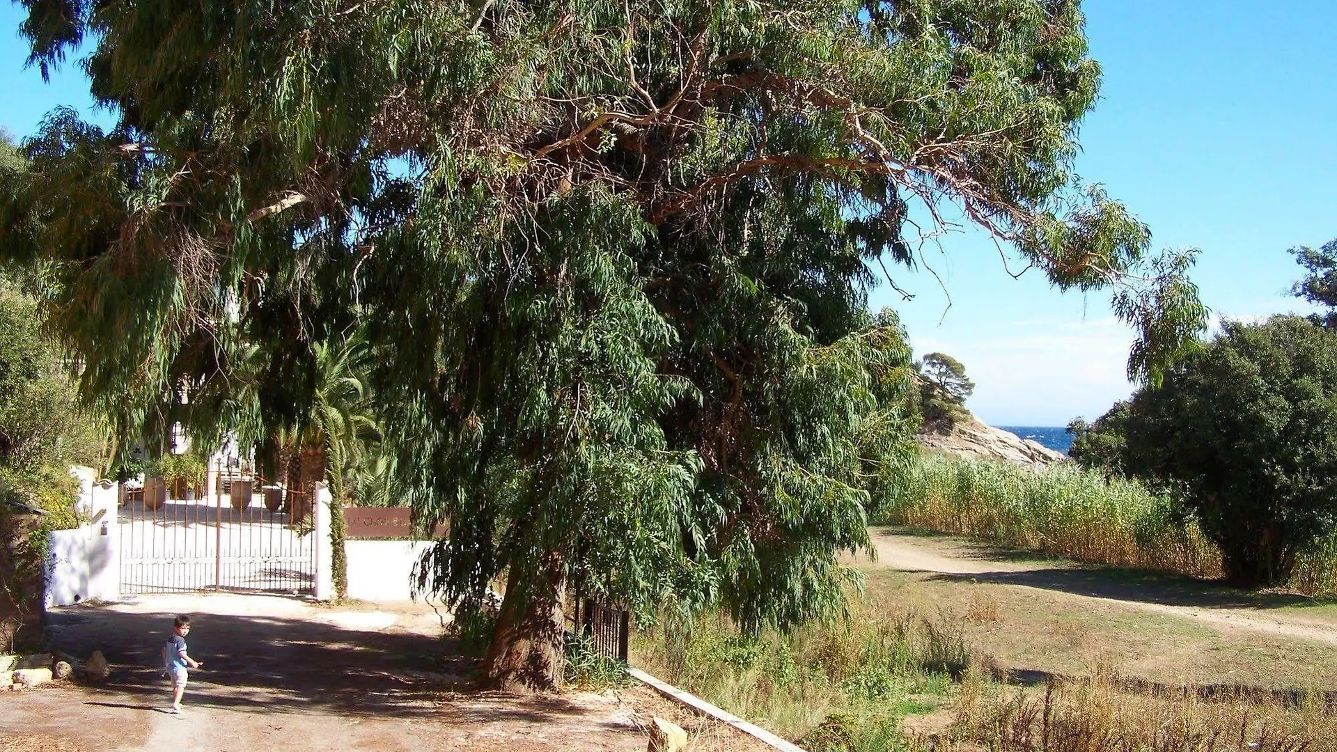 Le Clos Des Sept Palmiers Cavalaire-sur-Mer 5*,  France