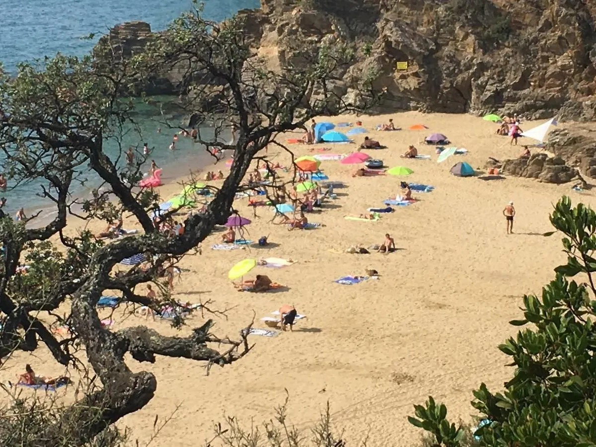 Le Clos Des Sept Palmiers Cavalaire-sur-Mer France