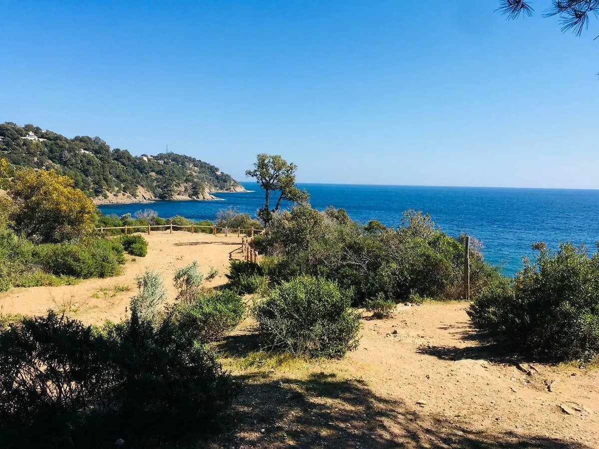 ***** Hotel Le Clos Des Sept Palmiers Cavalaire-sur-Mer France
