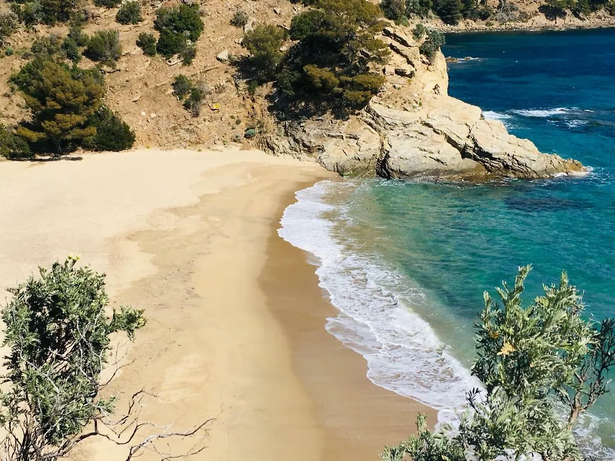 Le Clos Des Sept Palmiers Cavalaire-sur-Mer