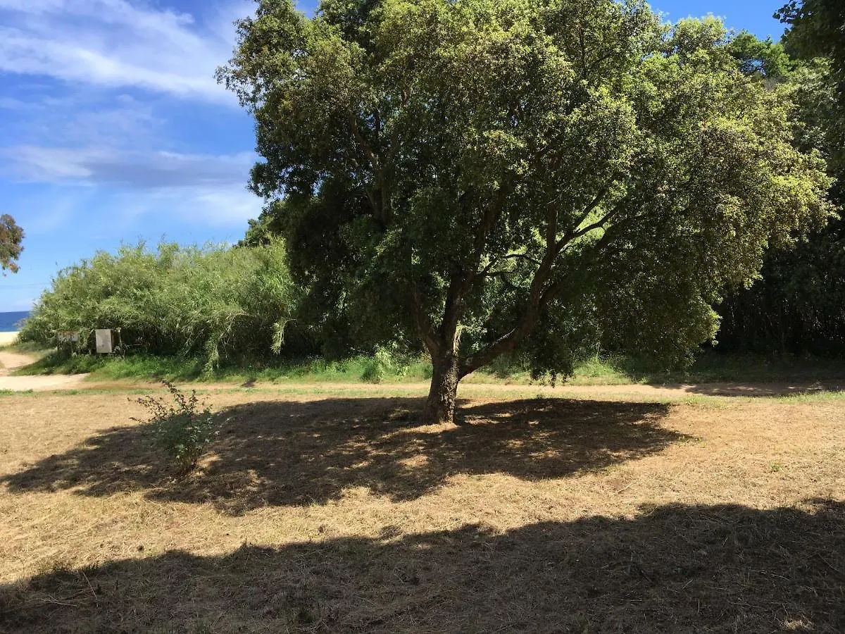 Le Clos Des Sept Palmiers Cavalaire-sur-Mer 5*,
